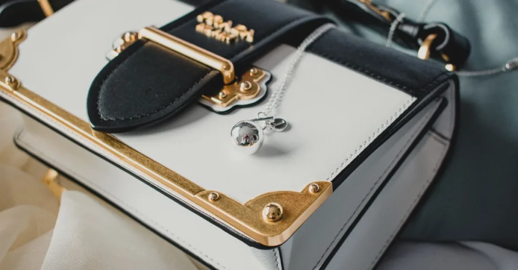 découvrez notre sac mini avec chaîne argentée, alliant élégance et praticité pour un look tendance et raffiné.